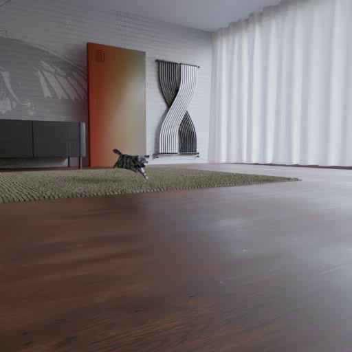 cat